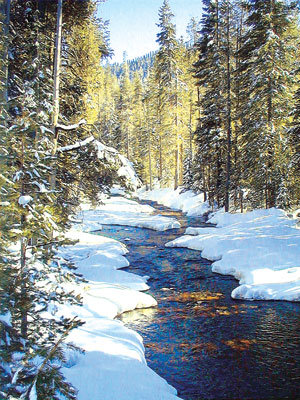 Snowy Sierra Creek